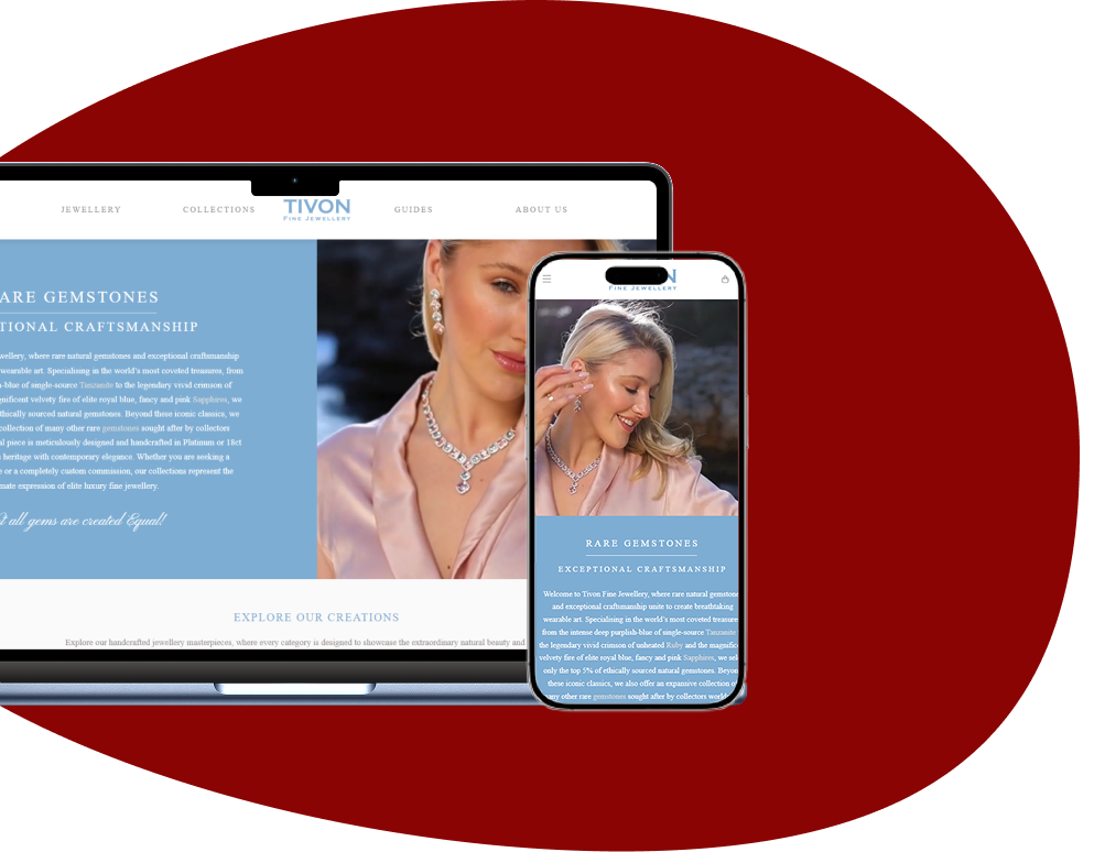Netrix web development - our work - Tivon